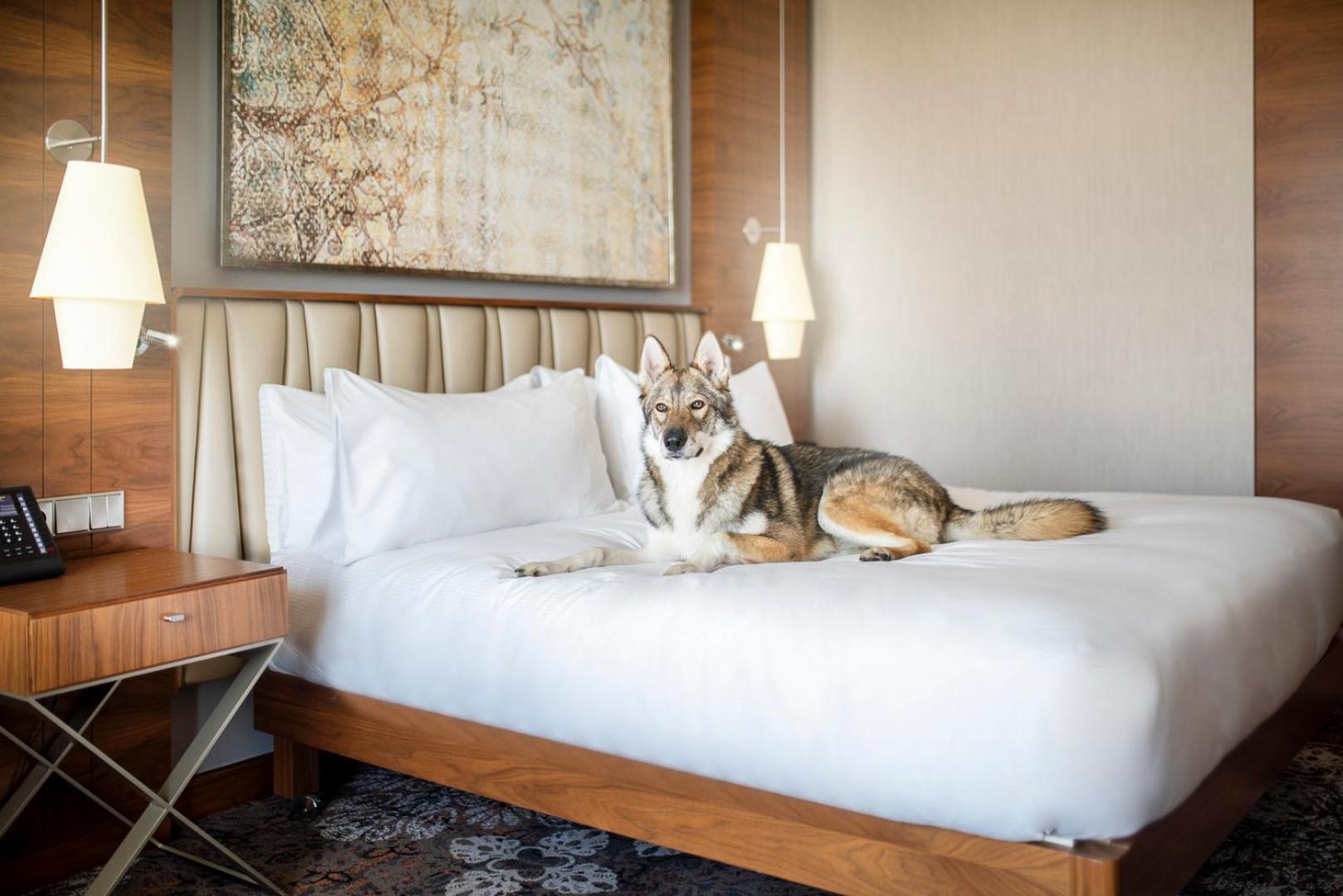 Doubletree By Hilton & Convention Center 4*